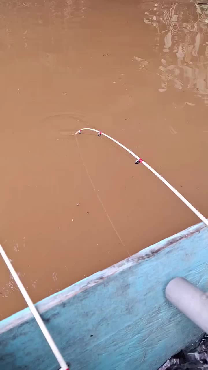 Kirain hewan bercapit,gatau nya hewan berinsang..🗿😅🙏 #prawnfishing #ikantilan #joranmelengkung #sungaisekayam