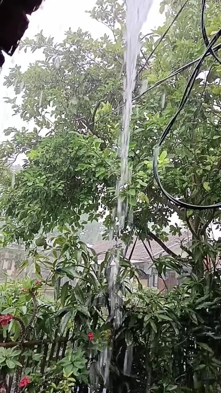 alhamdulillah setelah sekian lama kekeringan akhirnya hujan juga