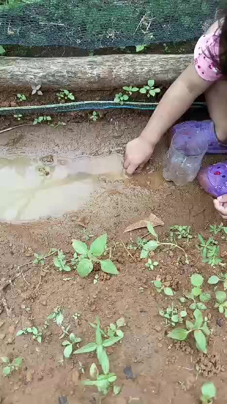 ga apa apa ya de main lumpur lagi