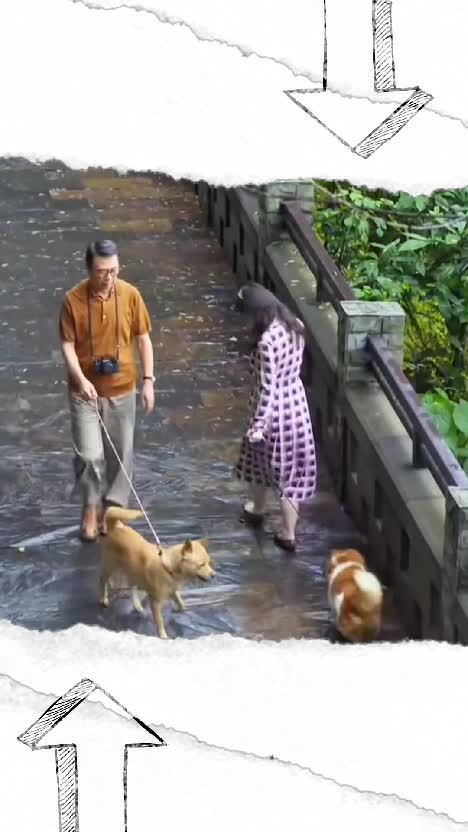  #sadmovie  #hachiko   #clipper 