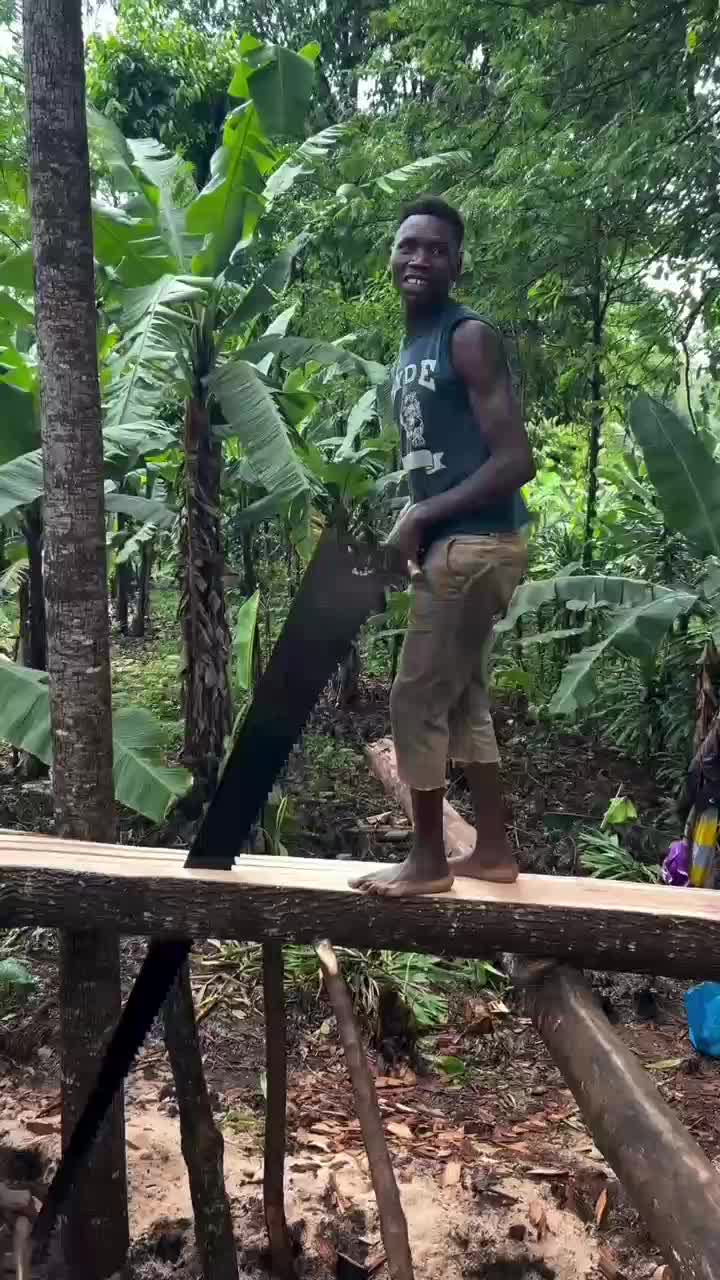 Lagi gergaji

 #videokocak
