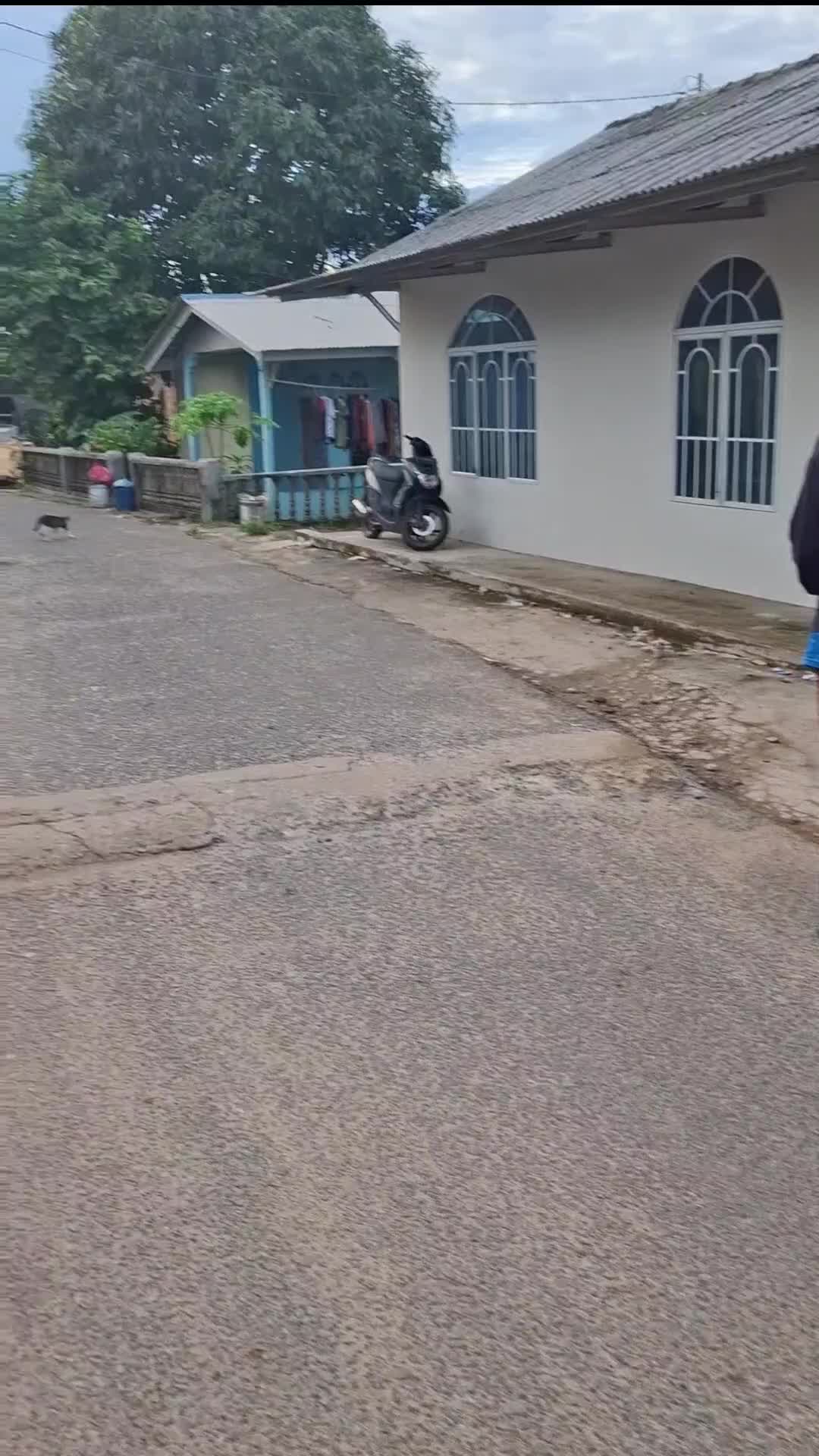 hantarr