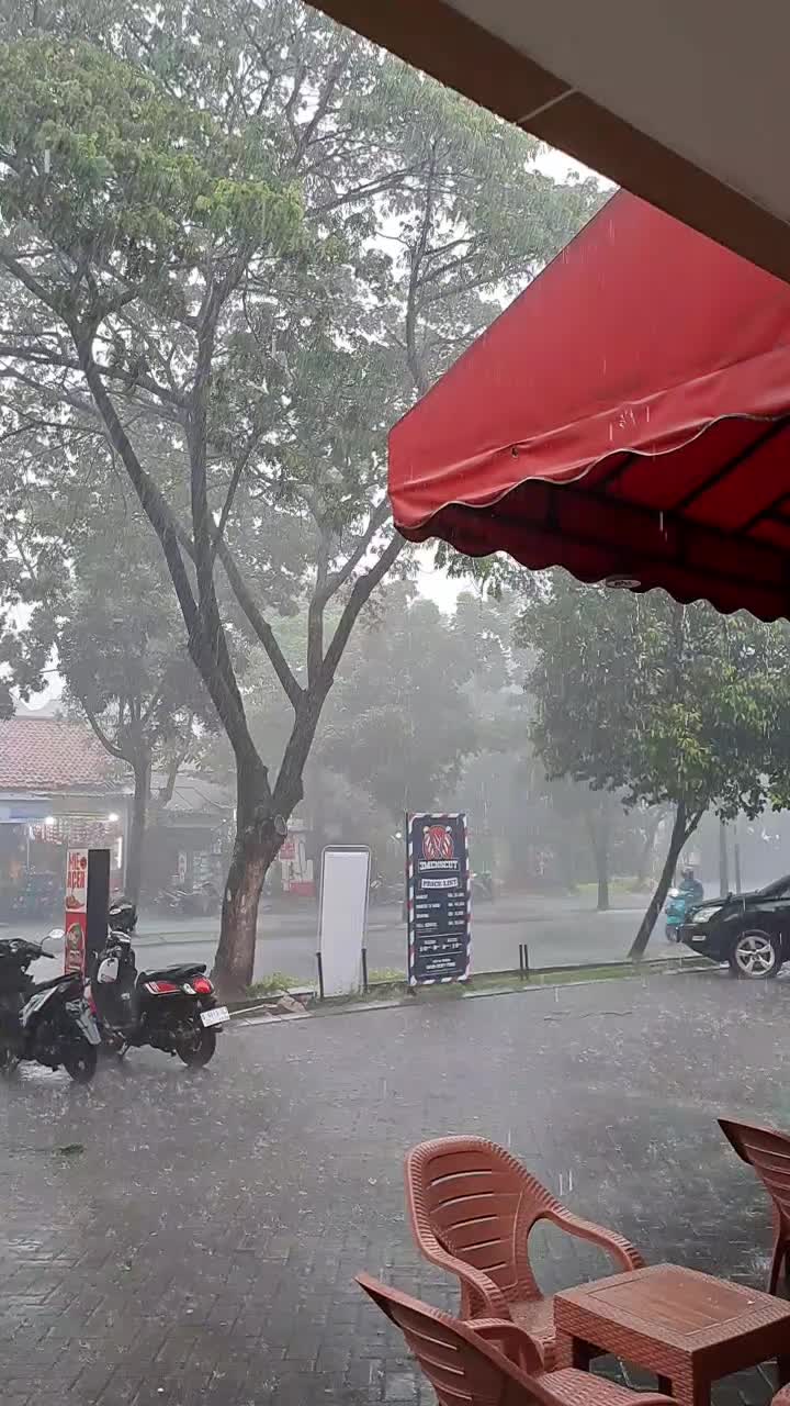 Rain