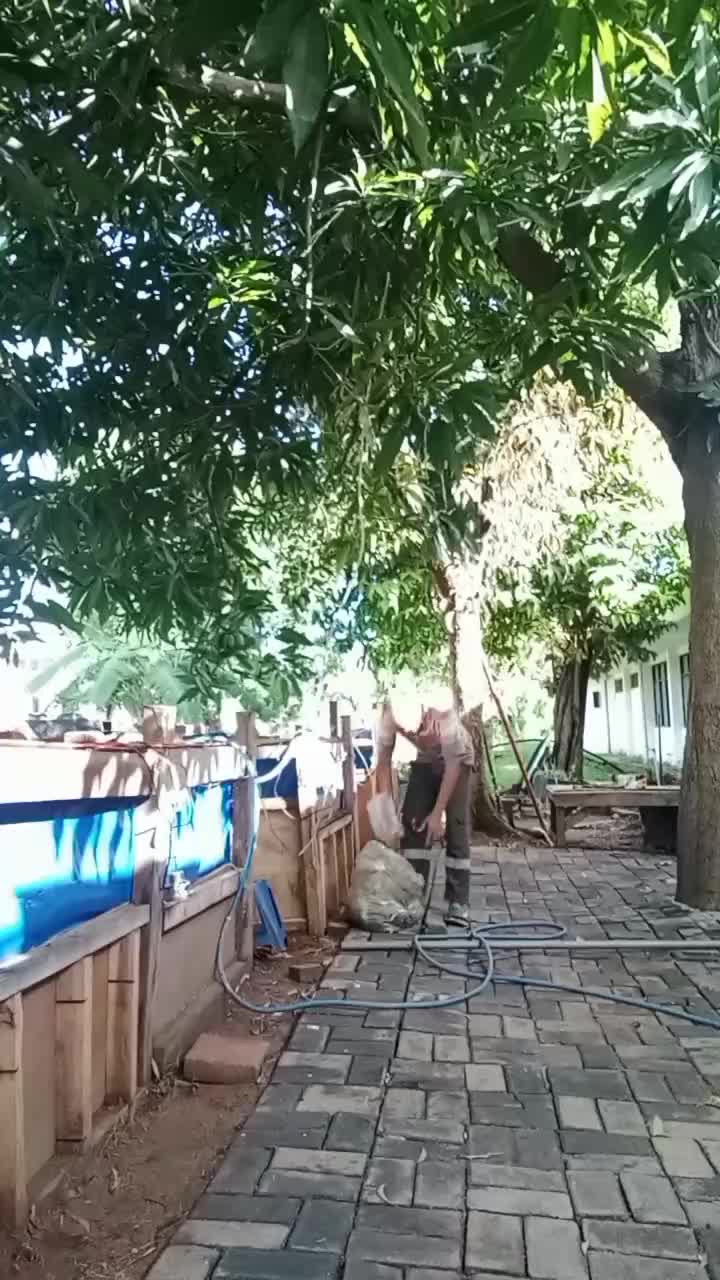 #ternaklelebukanternaktuyul