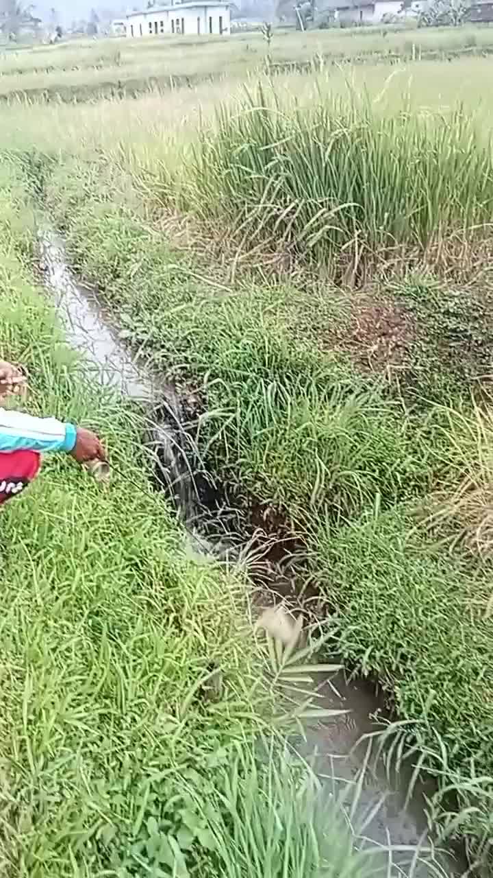  # mancingmania 
#tukangmancing