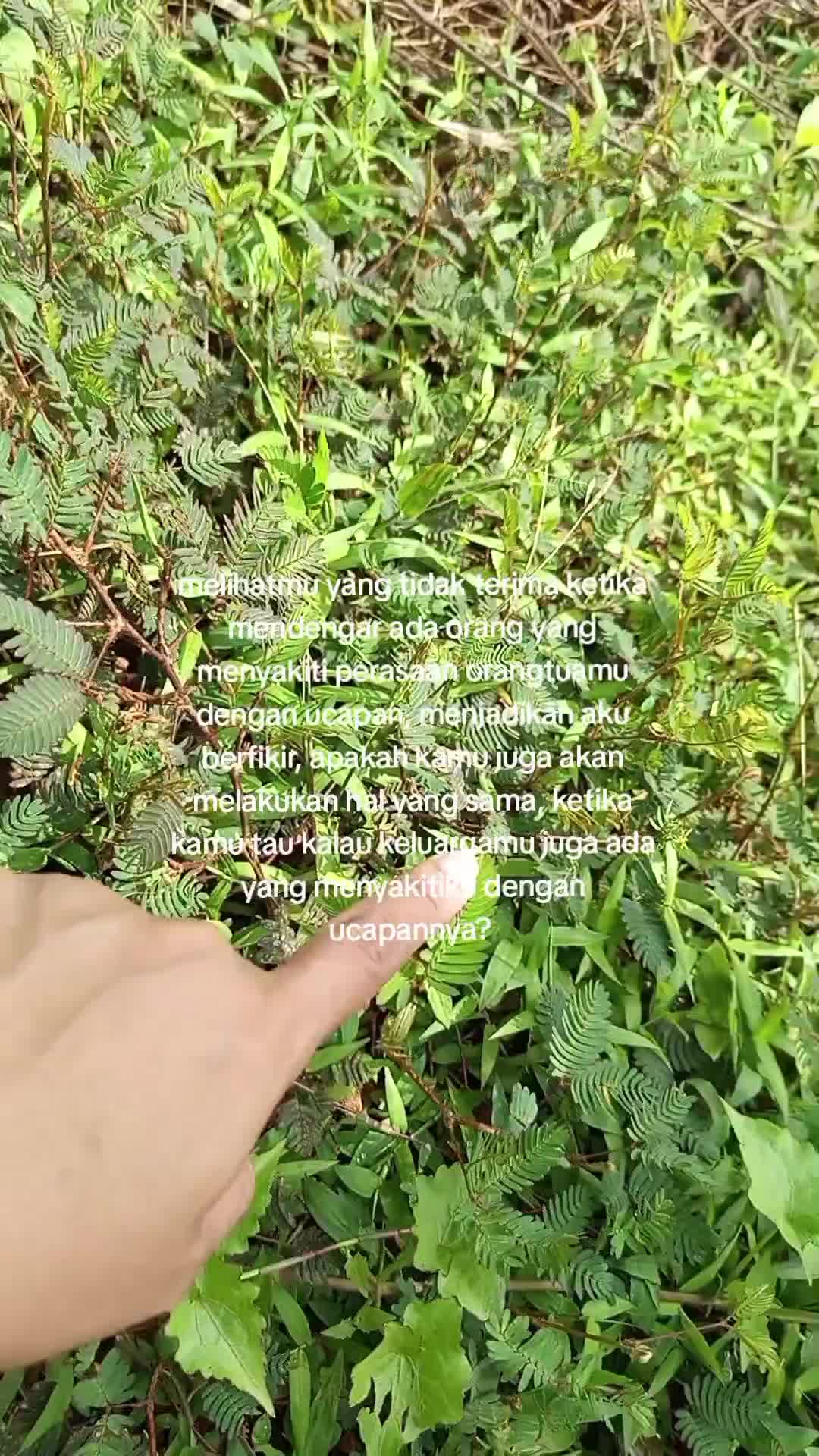 bagaimana? 