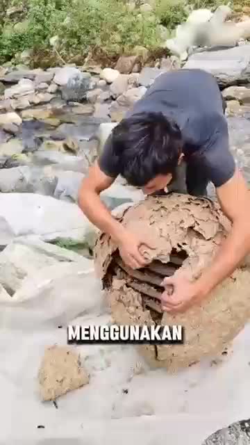 Sarang Tawon Raksasa #fyp #fypシ゚viral #HOTrctiplus #RCTIPlus #viral #rcti #rigelagency