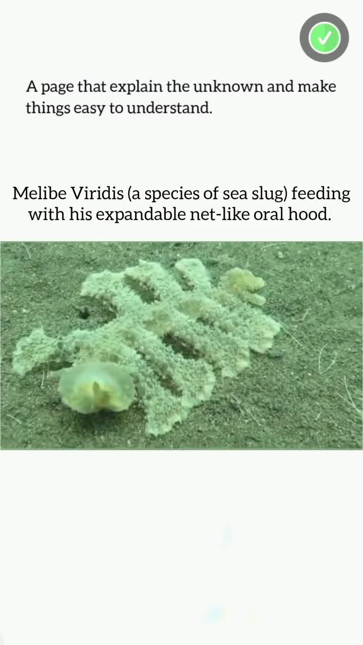 This Will Blow Your Mind! Part 109 🔥 #crativeprocess #innovation #trendingnow #inspiration