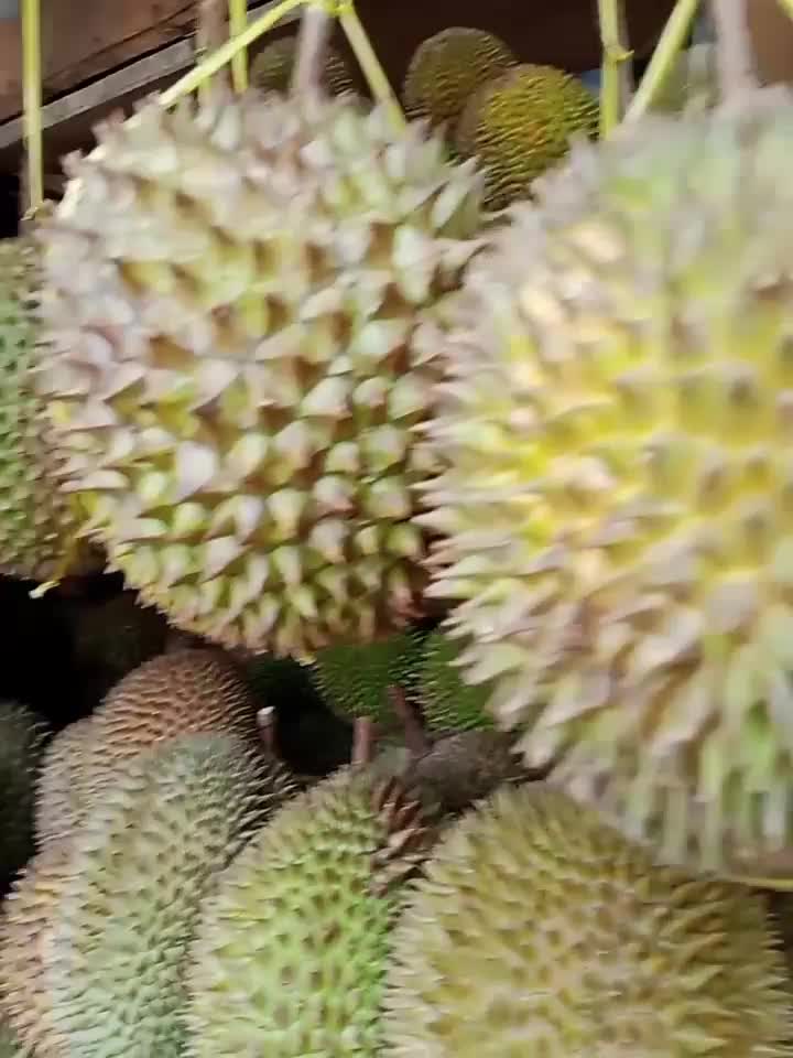 makan duren di pinggir jalan with family