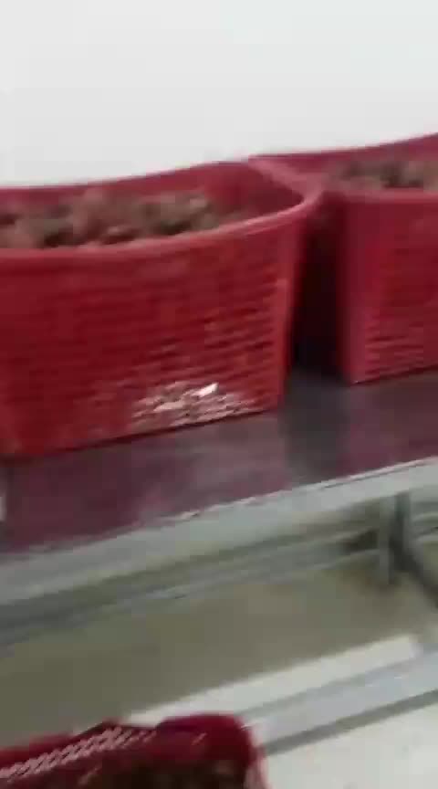 kerja cah kerja  #fypシ゚viral  #fypシ  #mbg
