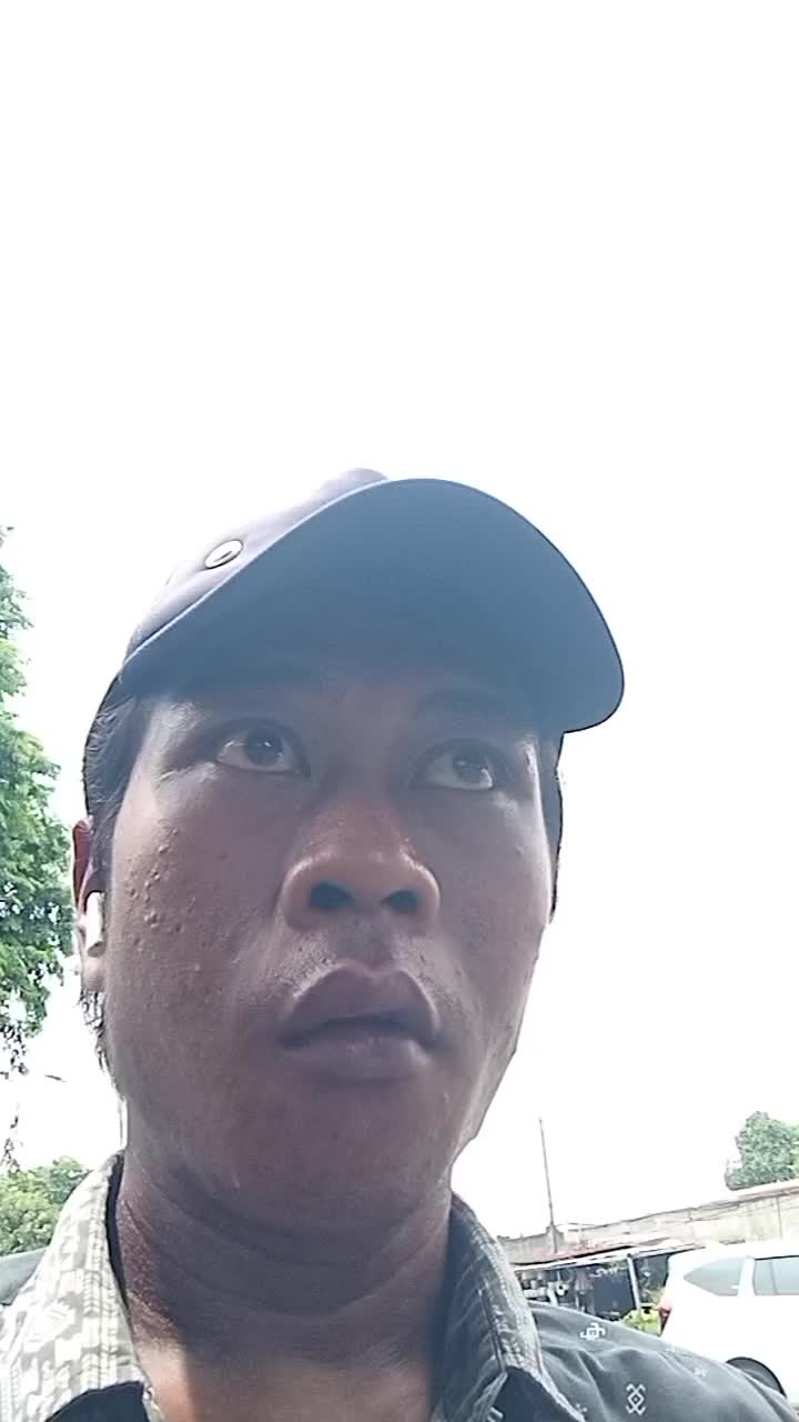dpinu