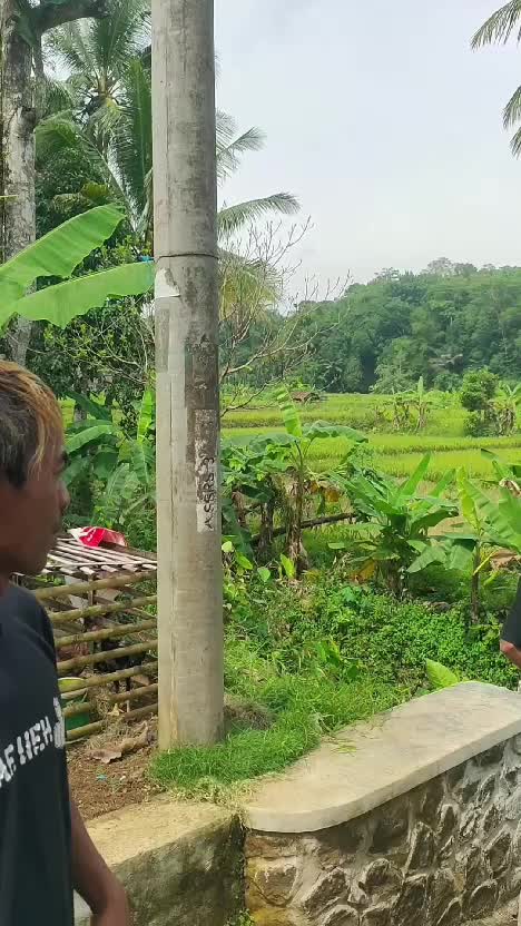 ntah siapa yang salah  #videolucu  #lucu  #komedi 