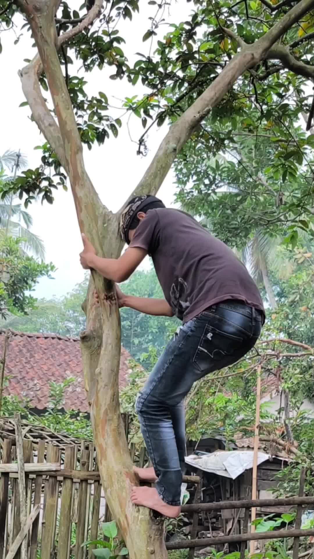 Prank  #komedi  #RCTIPlus 