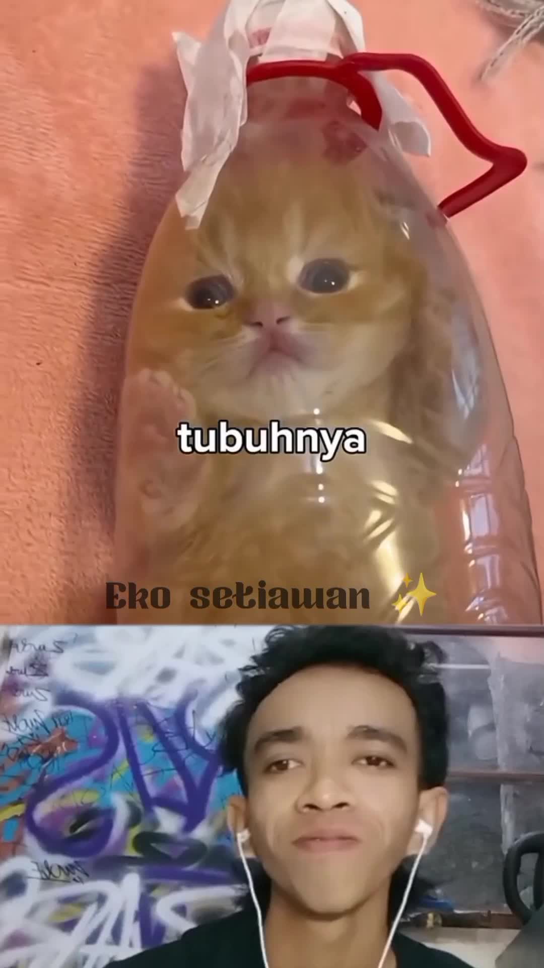anak kucing ini hidup di dalam botol ⚠️#clippers #REACTIONT #DUETT #FYP #VIRALL #RCTIPlus #HOTrctiplus 