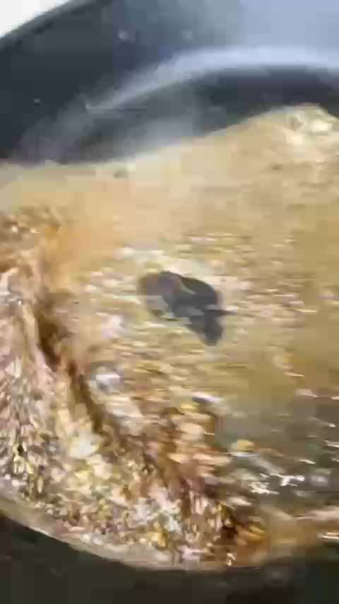 CACIO E PEPE , Pasta keju & Merica , #onlineauditionmci12