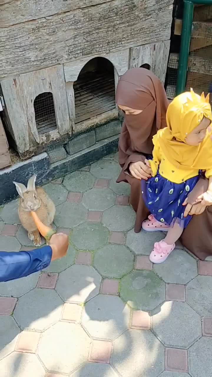 RABBIT
 #virall  #fypシ゚viral  #komedi  #short 