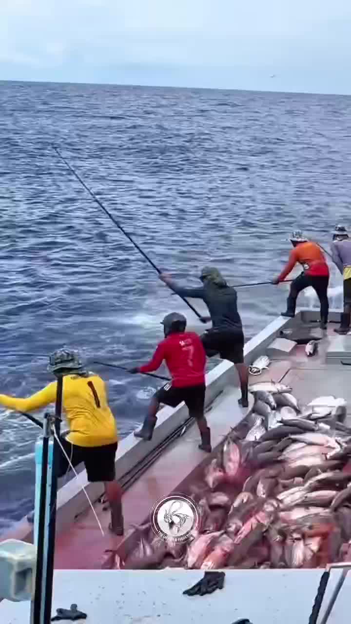 fishing tuna