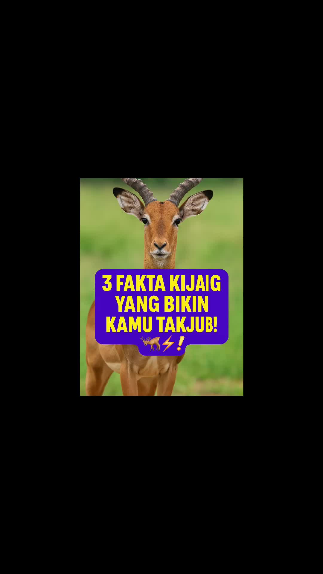 3 Fakta Kijang yang Bikin Kamu Takjub! 🦌⚡