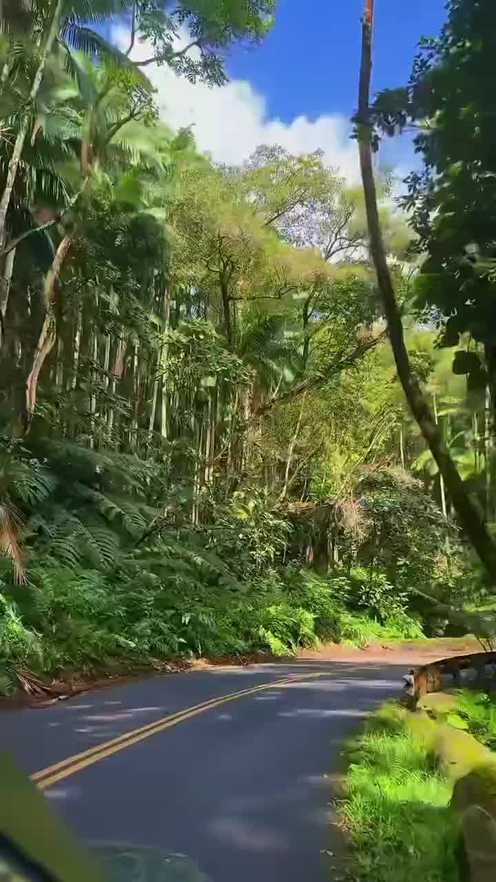 pemandangan saat pulang kampung #JayalahIndonesia  