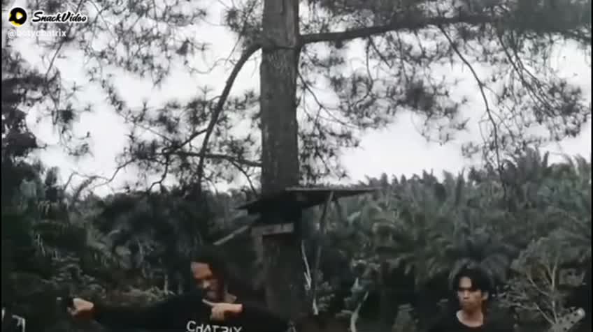 chatrix band kicau burung