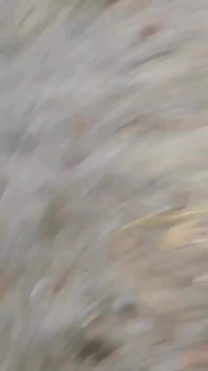 🤣🤣🤣 #ngakak 