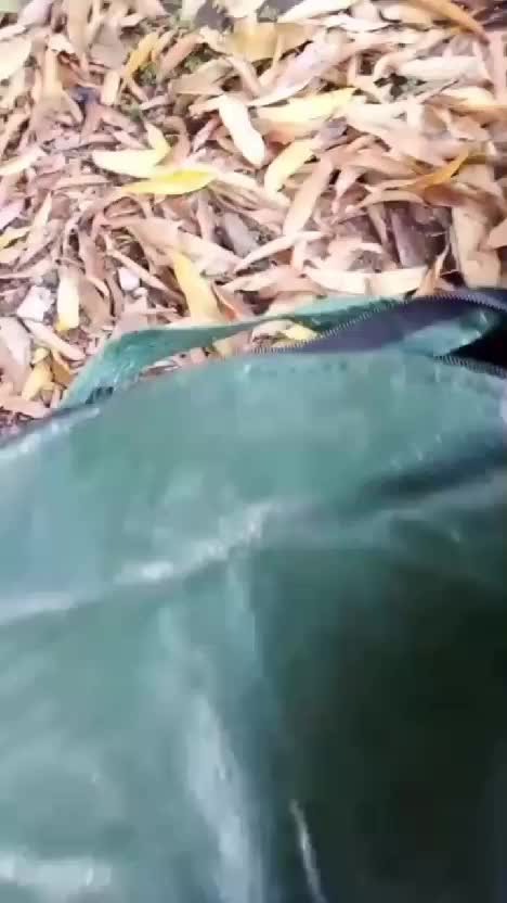 kompos bag solusi untuk kamu yang mau bikin kompos #kompos #komposbag #bikinkompos #easygrow #kantongkompos  #kebunshaka