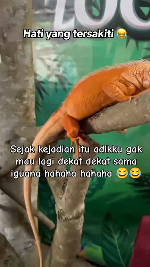 hgh