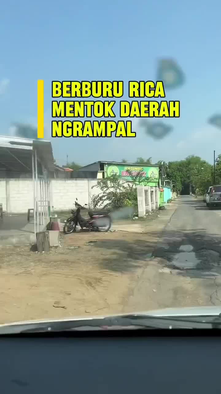 Berburu rica mentok daerah ngrampa#HOTrctiplus #rctiofficial 