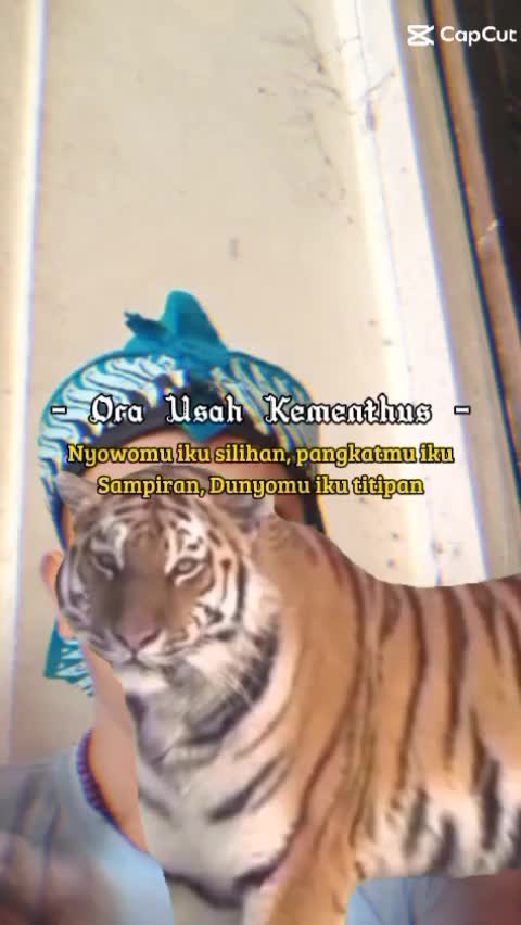 hhb