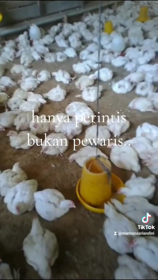 rajinbcari cuan buat bisa nonton rcti