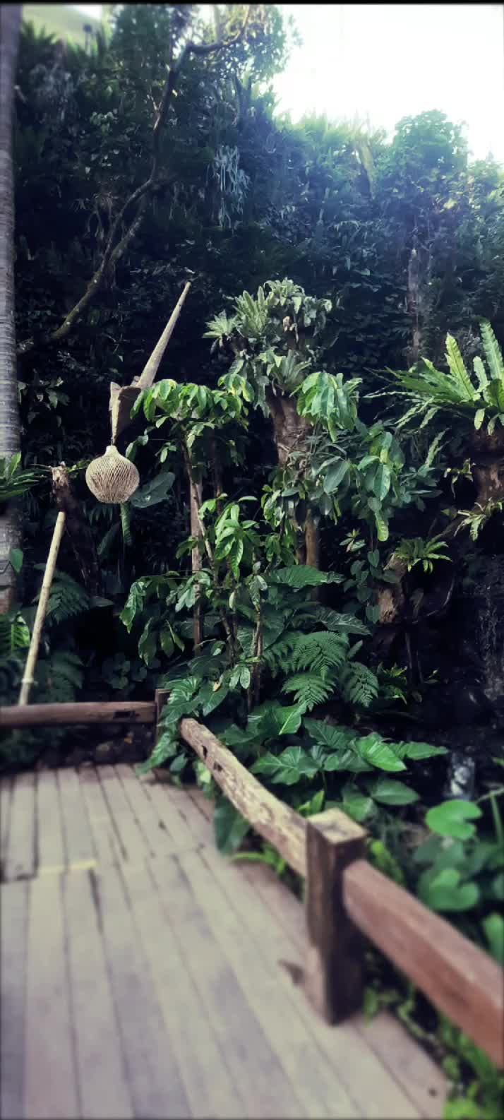 #kandangingkung#ngalian#semarang#wisatakuliner#kuliner 