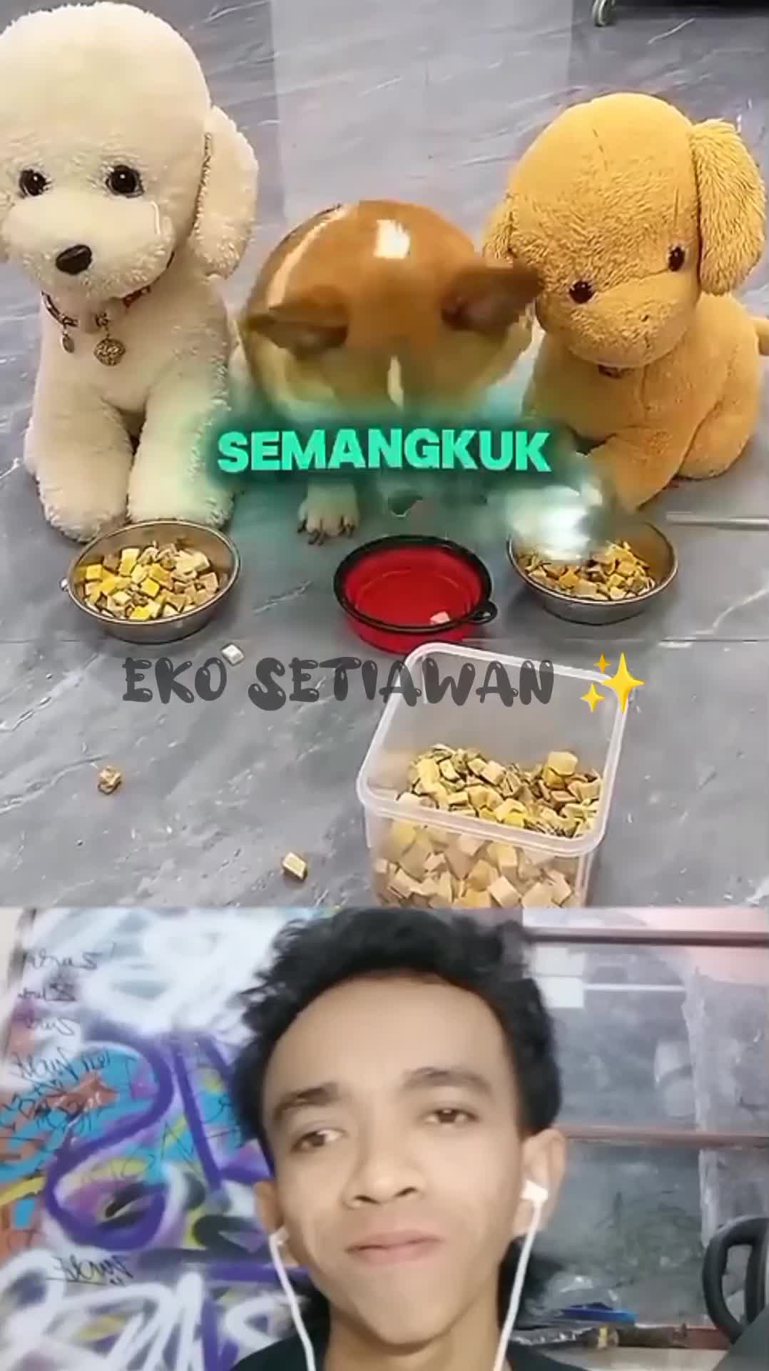 anjing ini sangat marah ketika pemilik nya bersikap tidak adil ??????