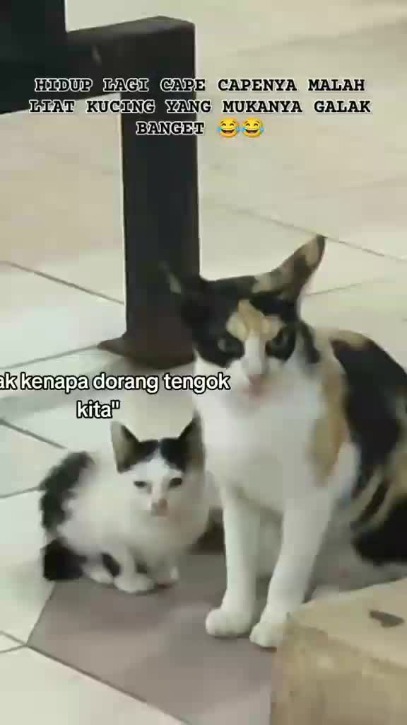 vbhhh