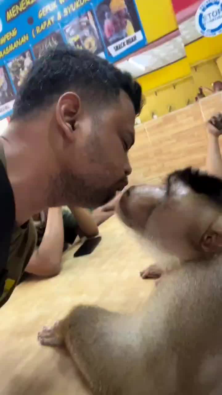 PANJI PETUALANG DI JENGGUT BERUK
#videolucu