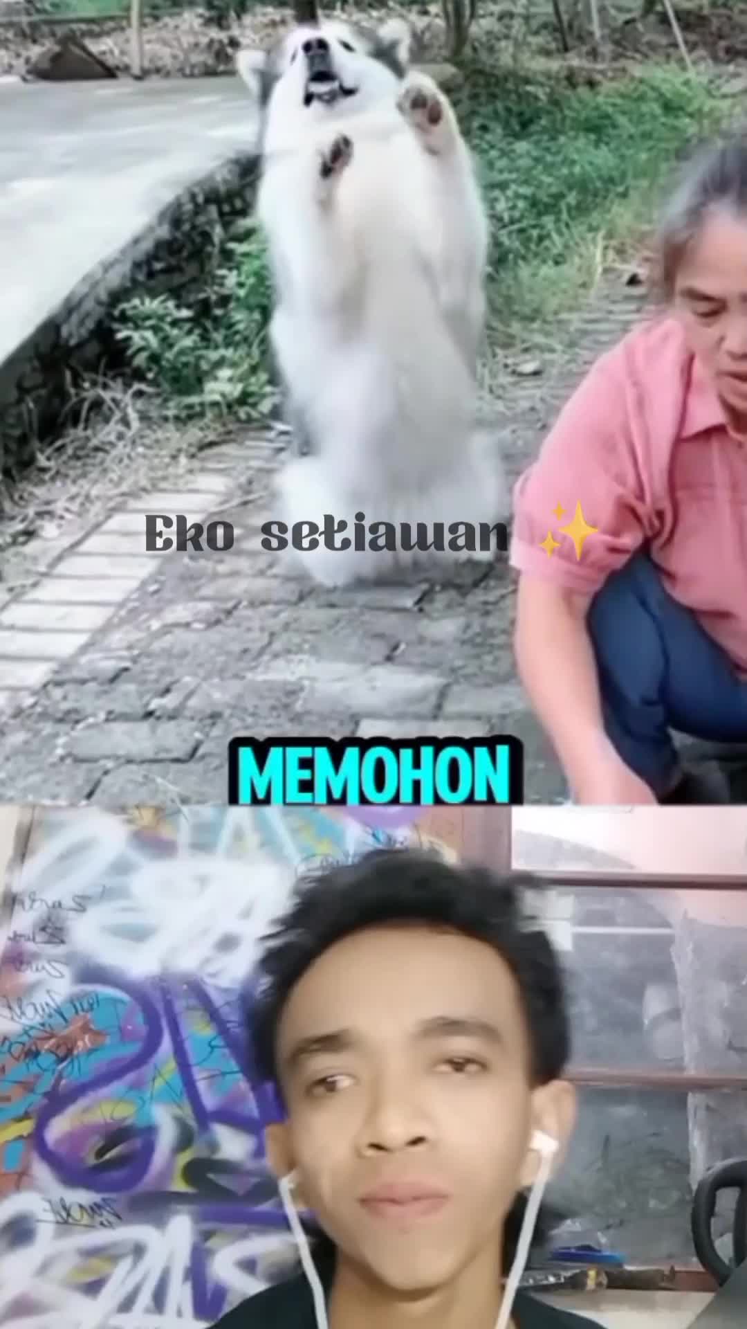 si guguk meminta dan memohon agar temannya di lepaskan😍
