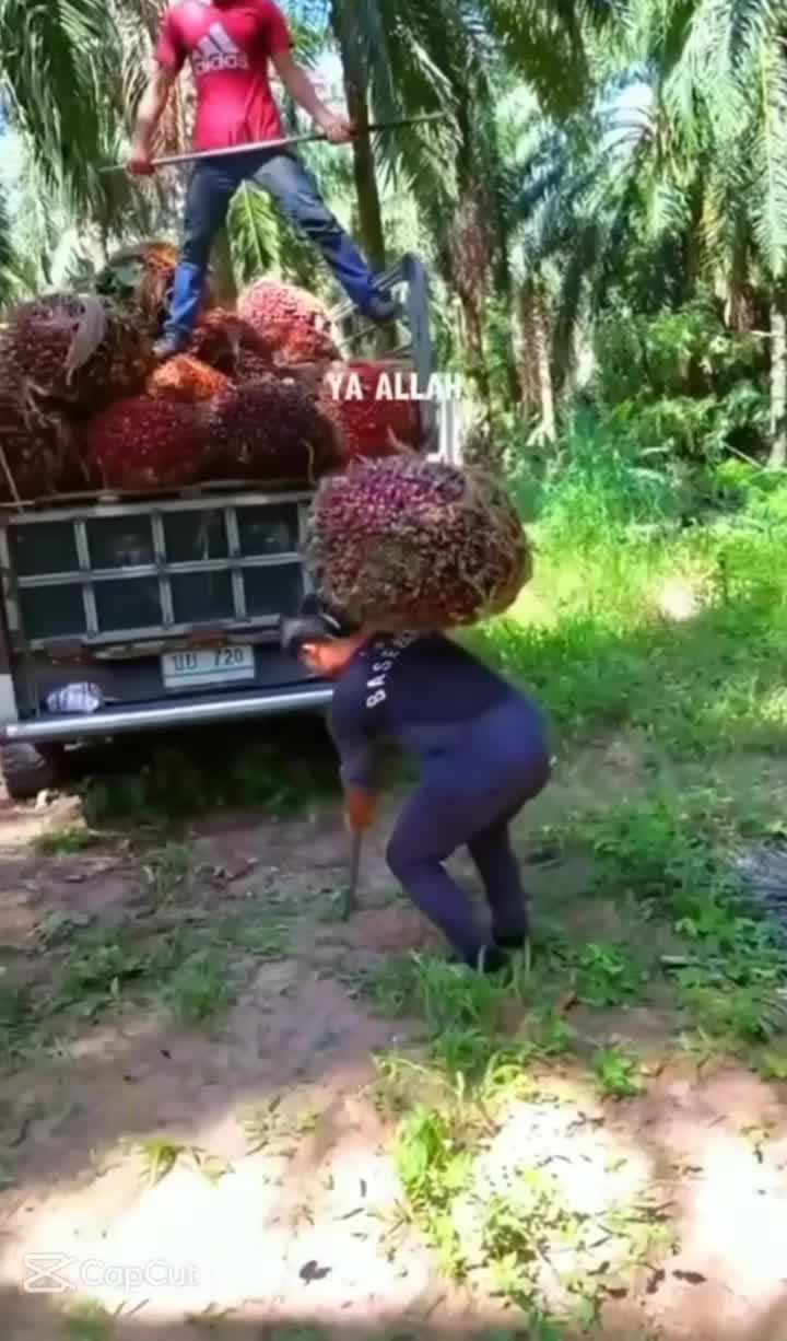    nnnnn