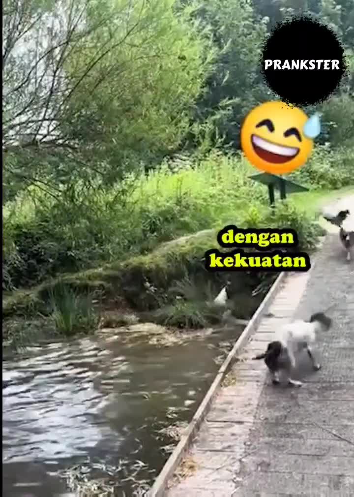 #394 Let's go baby🤣
#videolucu #prank 