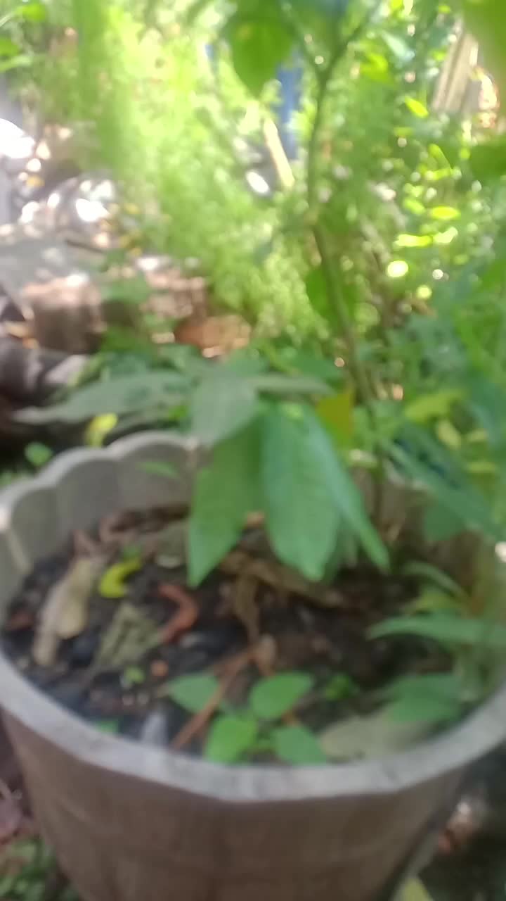 nature first upload