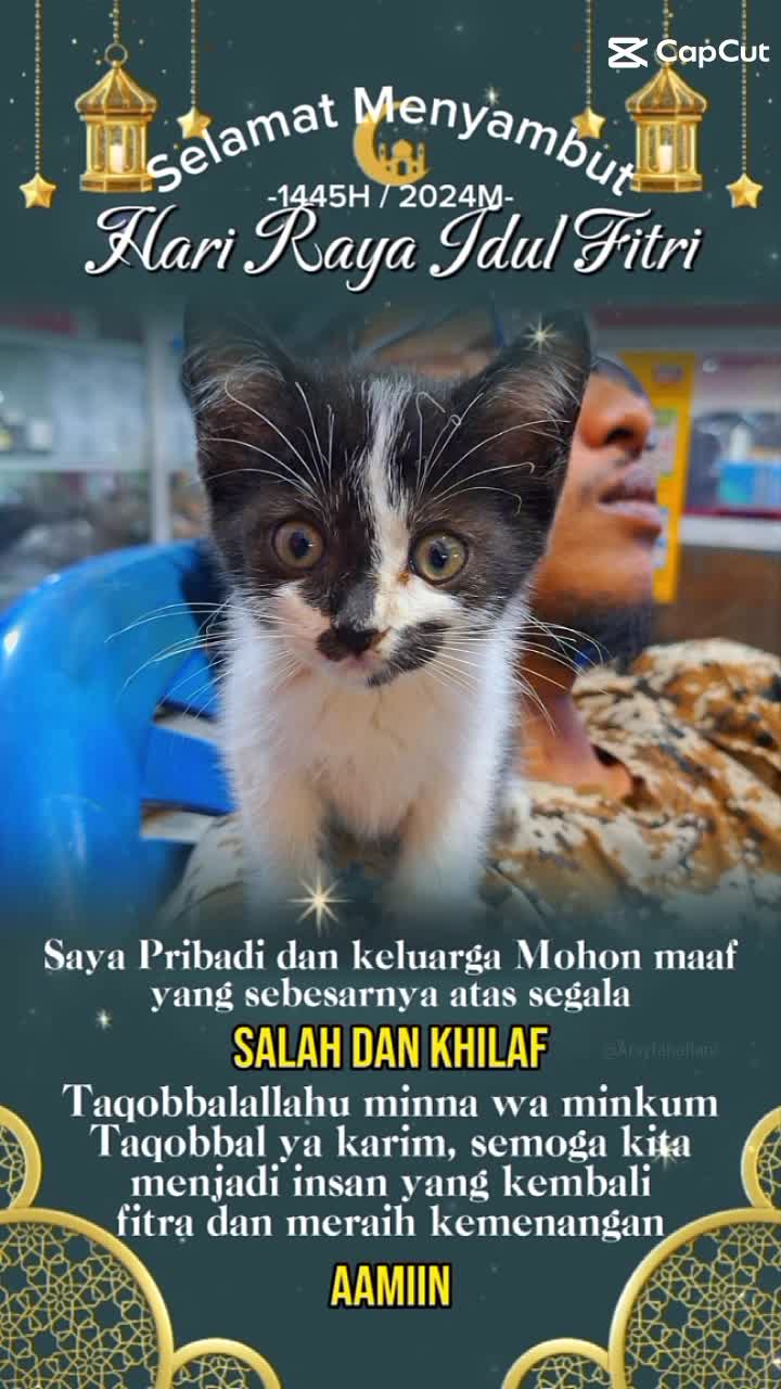 happy Mubarak 🙏😇