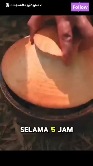 AYAM UNGKEP TANAH LIAT #fyp #fypシ゚viral #HOTrctiplus #RCTIPlus #viral #rcti #rigelagency