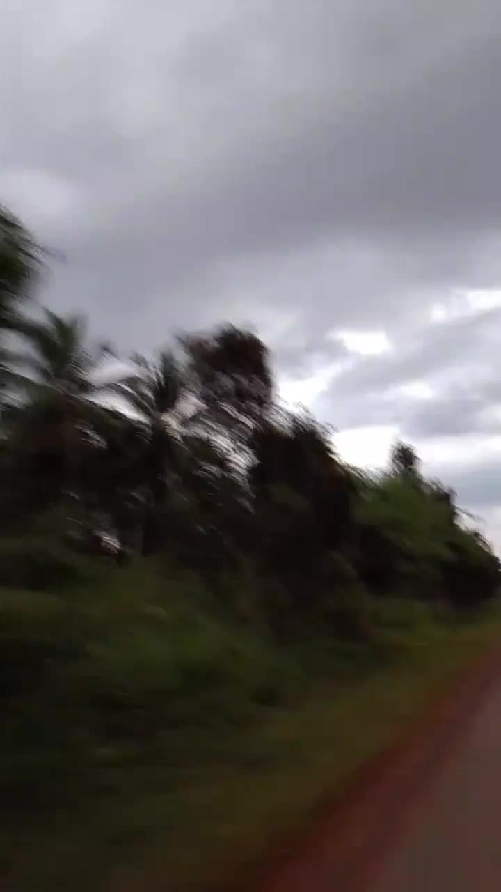 jalan jalan sore  #