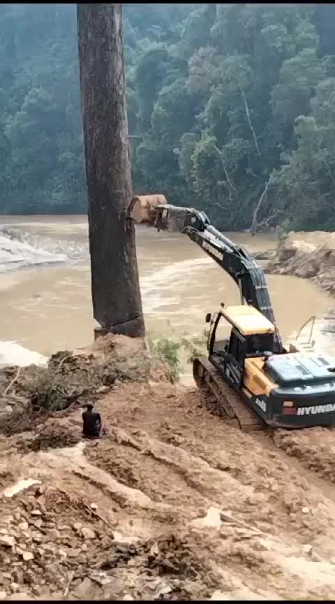detik2 kayu besar tumbang,,, dibantu excavator 