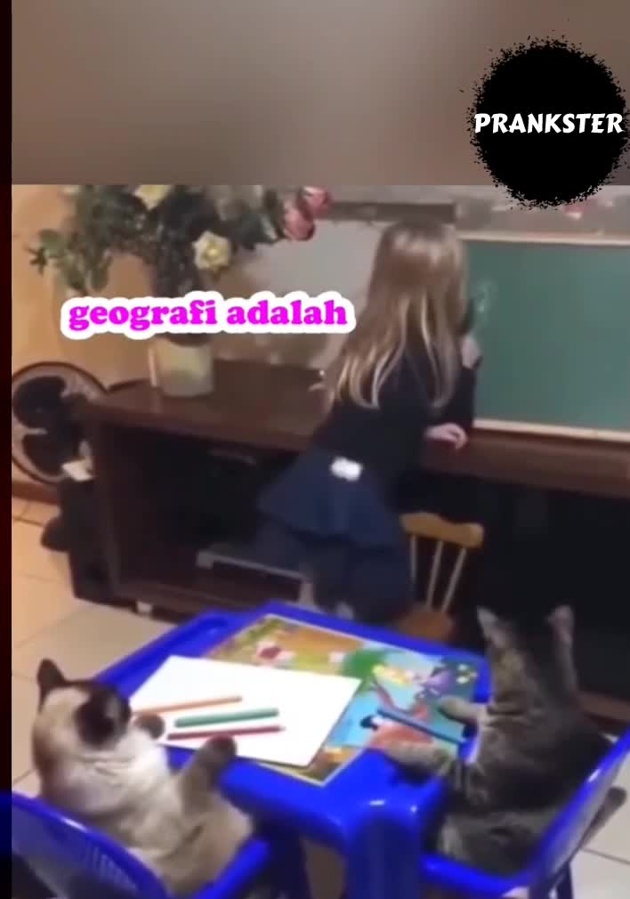 #410 Hampir ajah😂
#videolucu #prank 