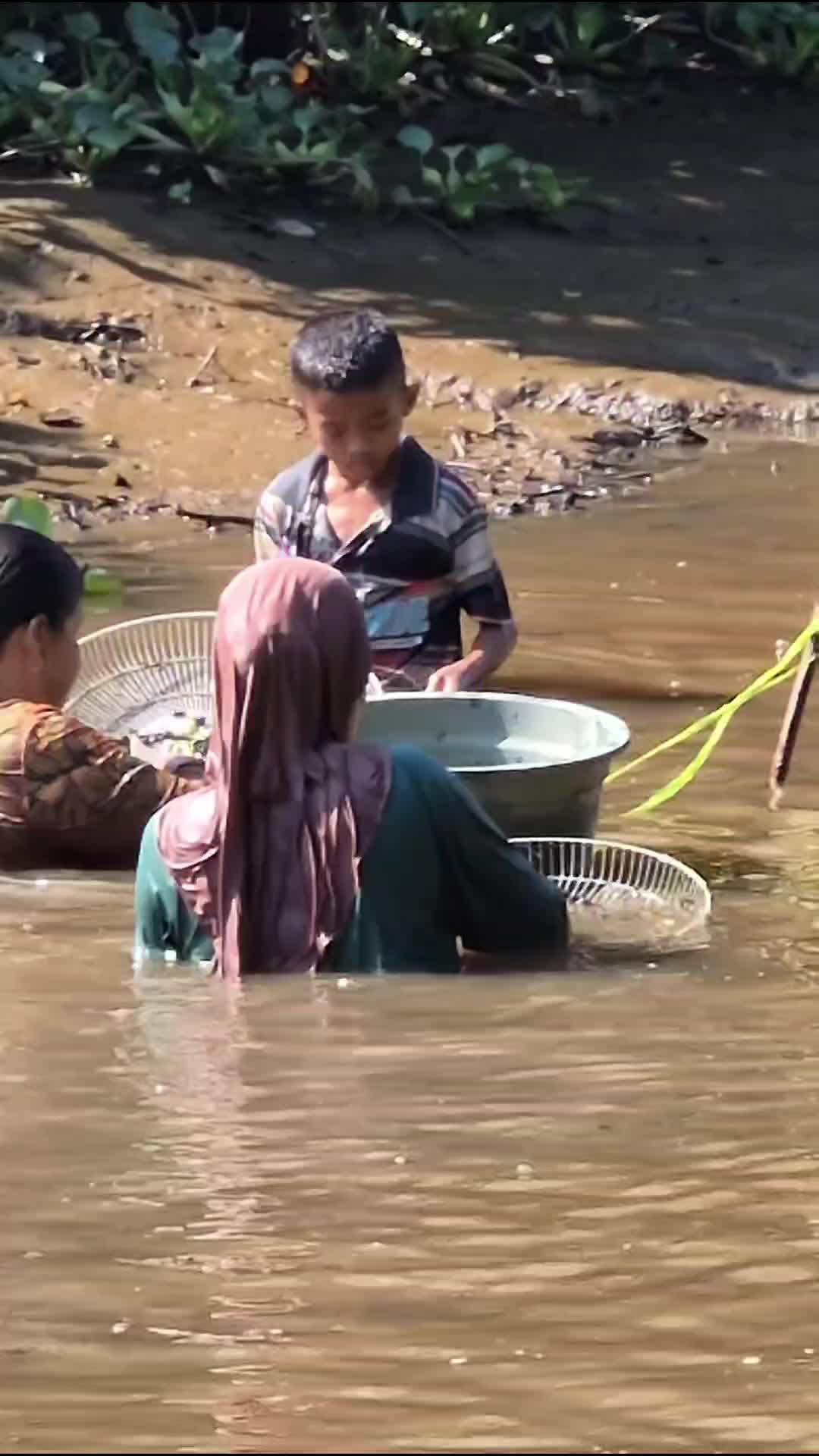 ibu mencari kerang remis  #kerang