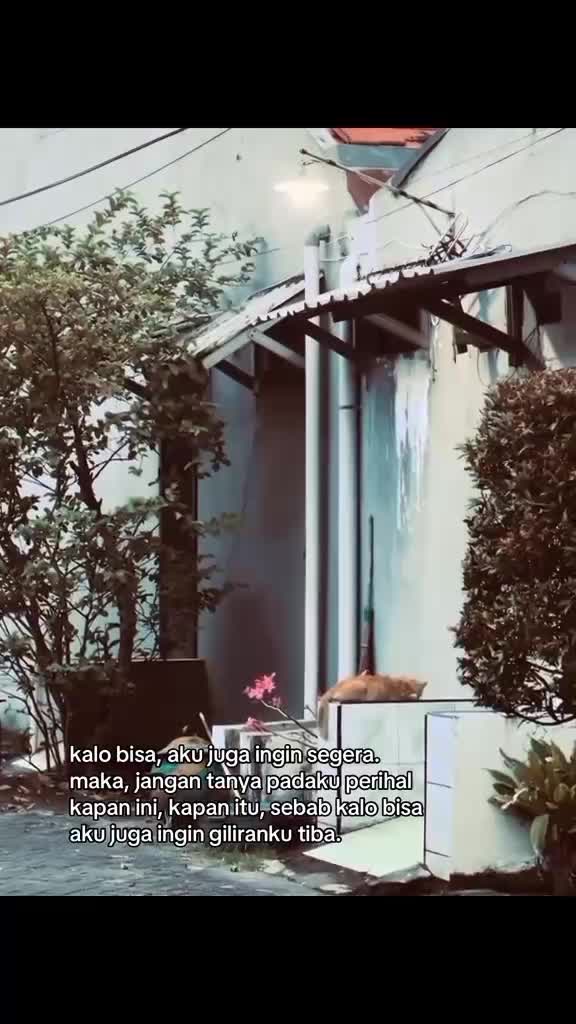 hujan #RCTIPlus  #HOTrctiplus 