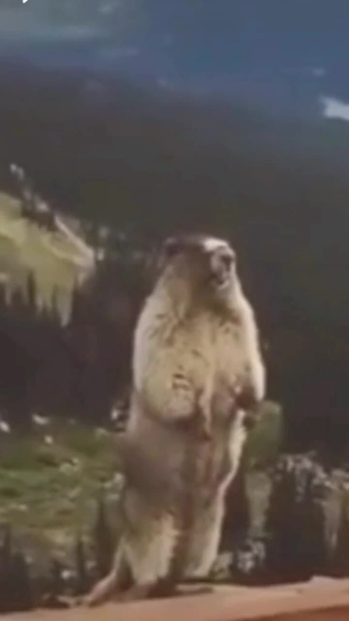 DI KIRA KEDALAMAN 1 METER LU CIL||VIDEO LUCU BIKIN NGAKAK🤣🤣. #RCTIPlus #shortplus #videolucu #lucu  #Viral #funnyvideo 