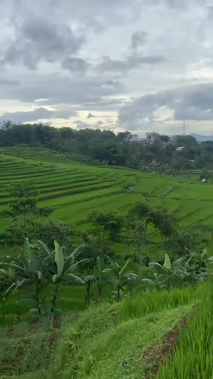  #short  #HOTrctiplus  #RCTIPlus 