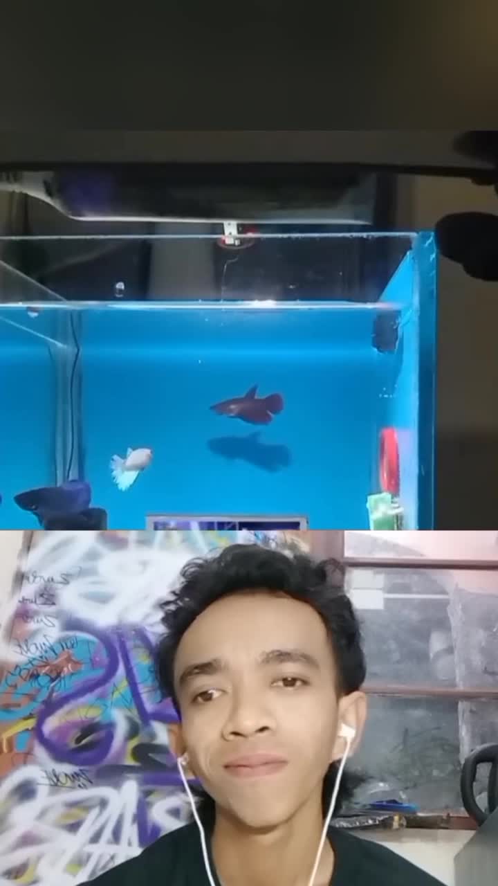 Gak Ekspek,orang ini
bikin Aquarium kayak
kamar kosan #reactiont #duett 