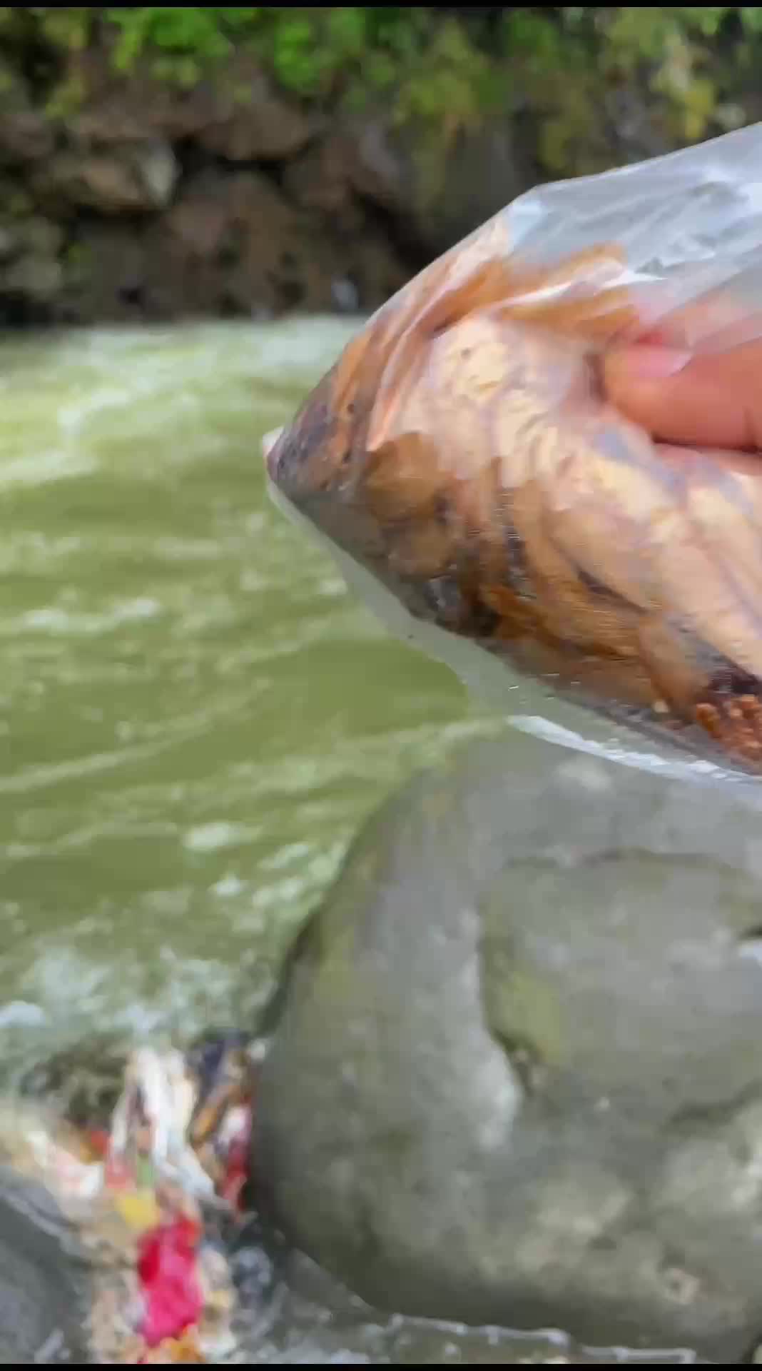 umpan terbaik sepanjang tah masa