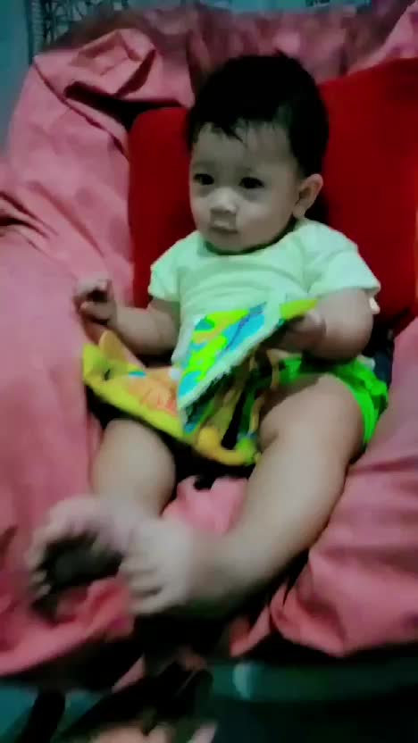 Belajar mengenal hewan 💫